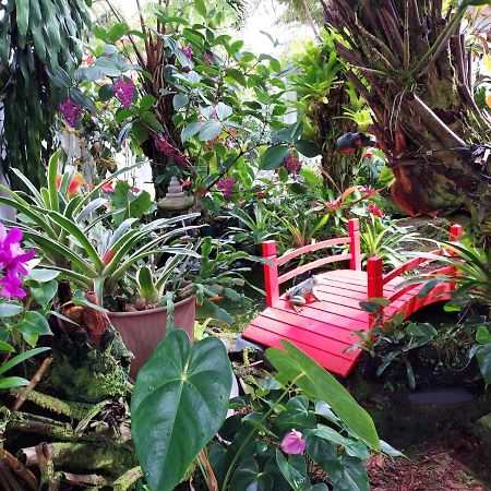Paradise Cottage At Anthurium Hale Hilo Exterior photo