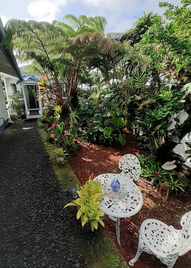 Paradise Cottage At Anthurium Hale Hilo Exterior photo
