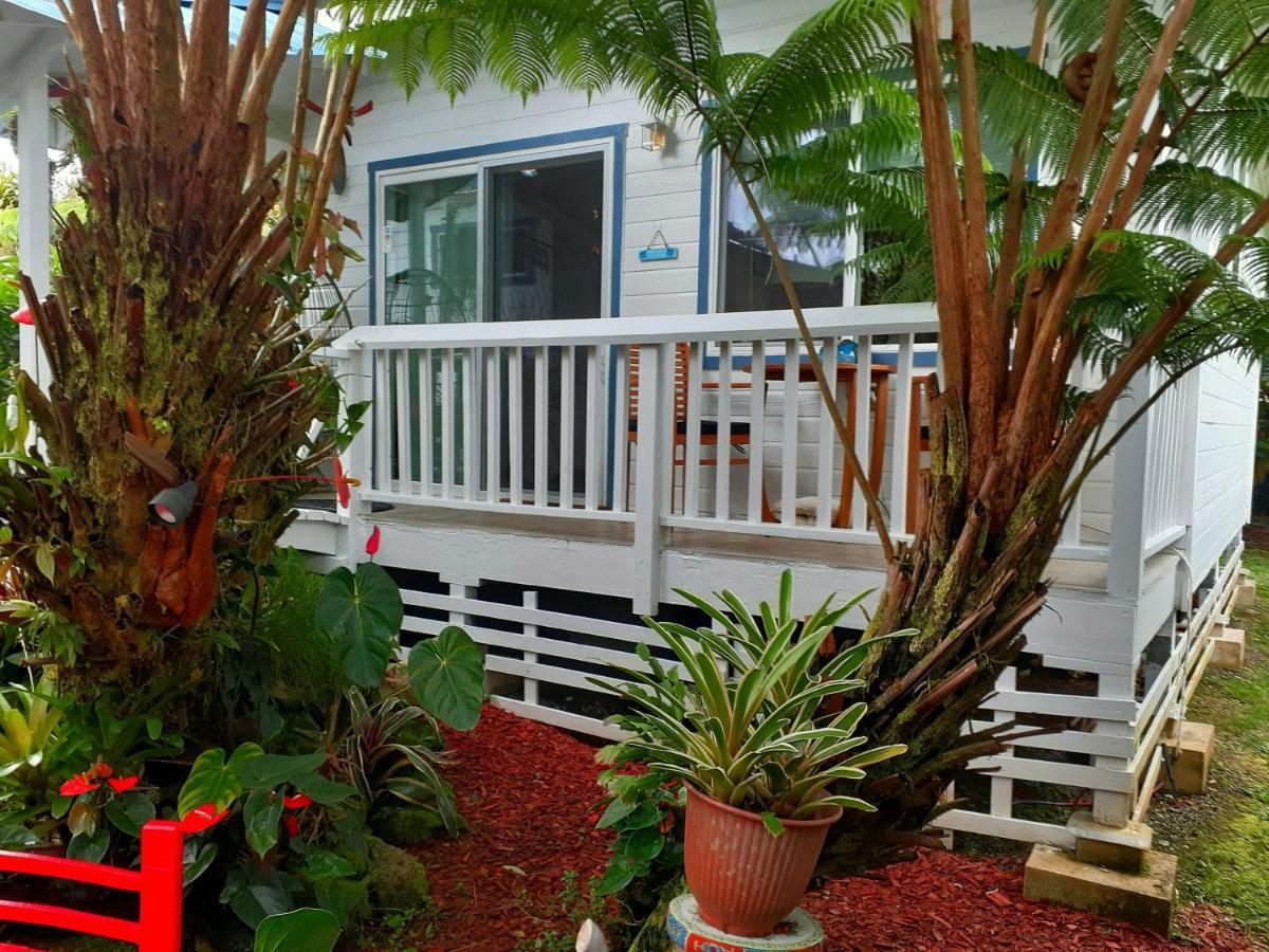 Paradise Cottage At Anthurium Hale Hilo Exterior photo