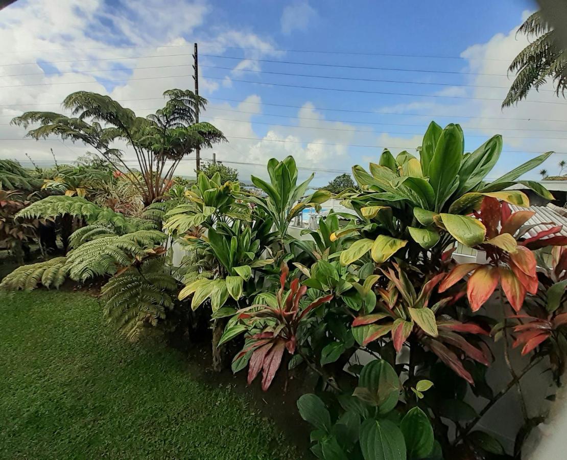 Paradise Cottage At Anthurium Hale Hilo Exterior photo
