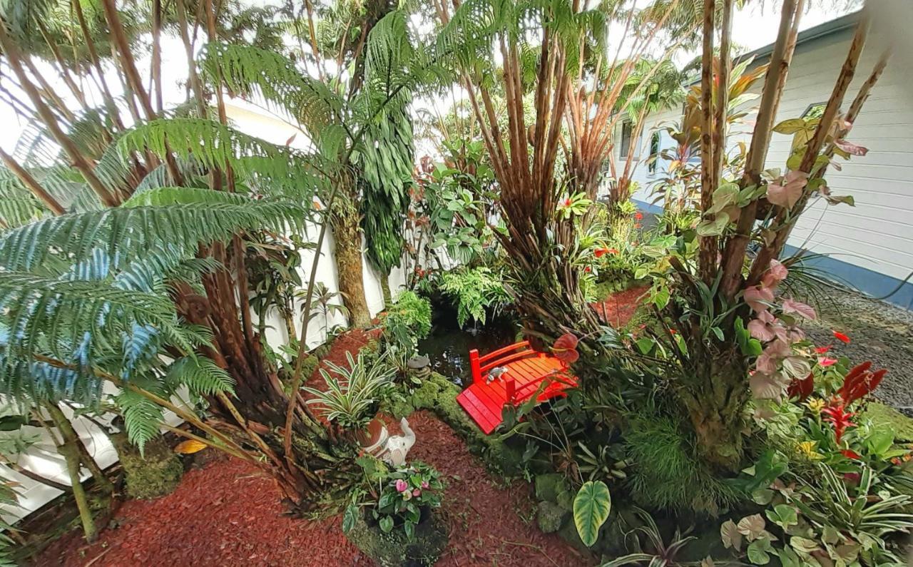 Paradise Cottage At Anthurium Hale Hilo Exterior photo