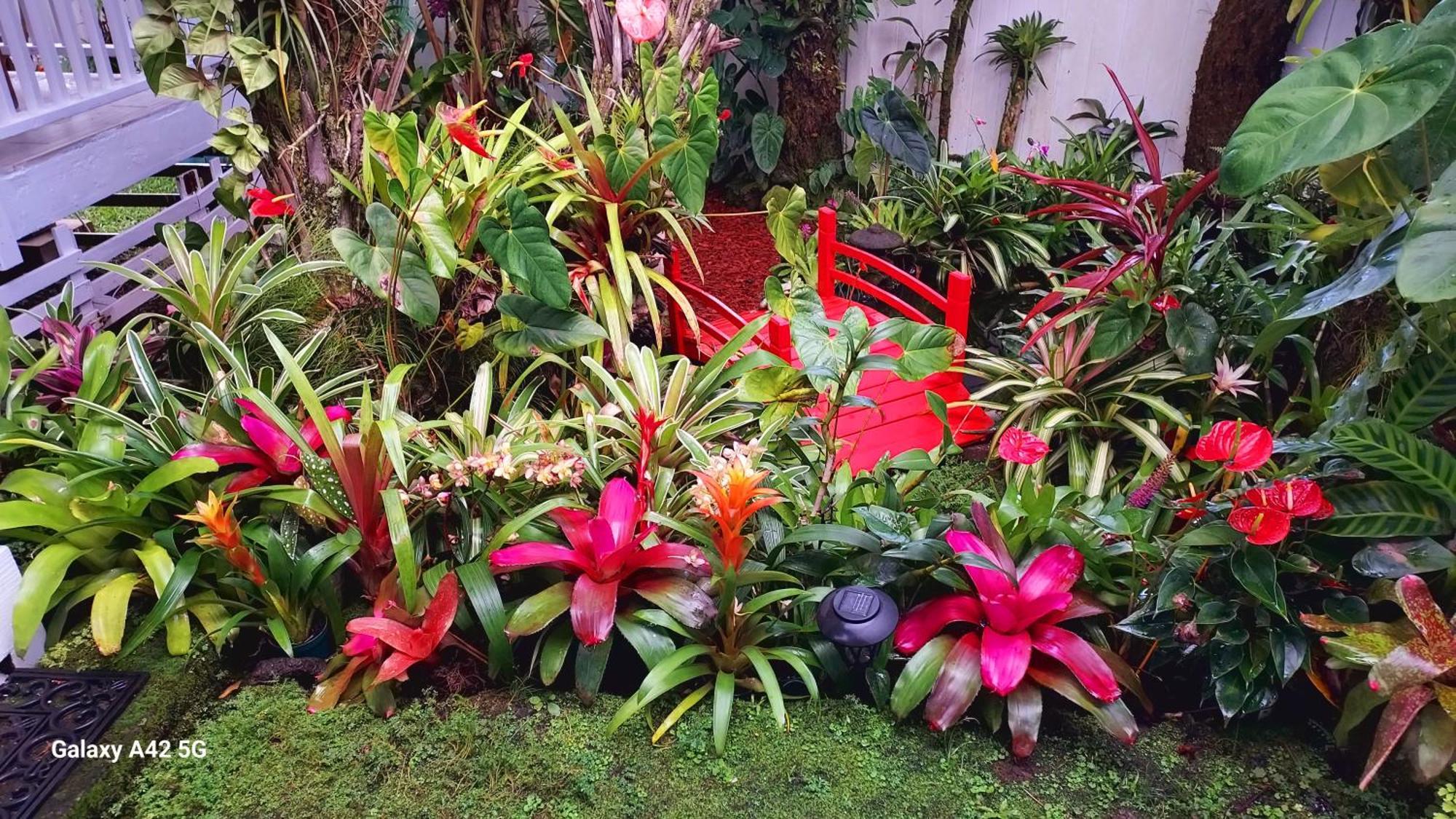 Paradise Cottage At Anthurium Hale Hilo Exterior photo